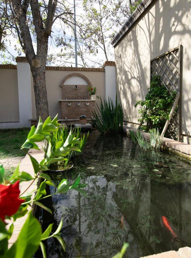 Villa Luce Assisi Rooms & Suites 외부 사진